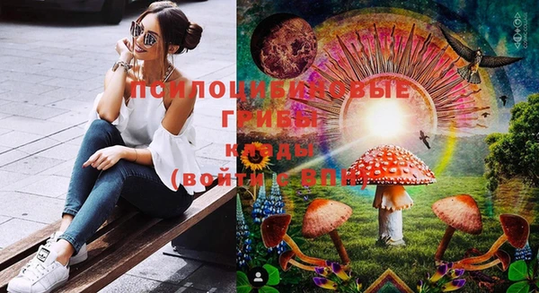метадон Алексеевка
